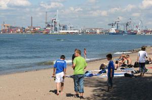 Pihlajasaari beach (Pikkukosken uimaranta) 