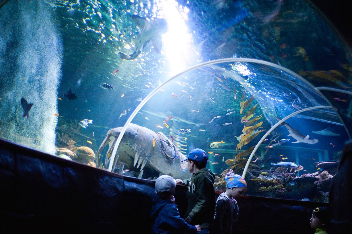 Sea Life Helsinki