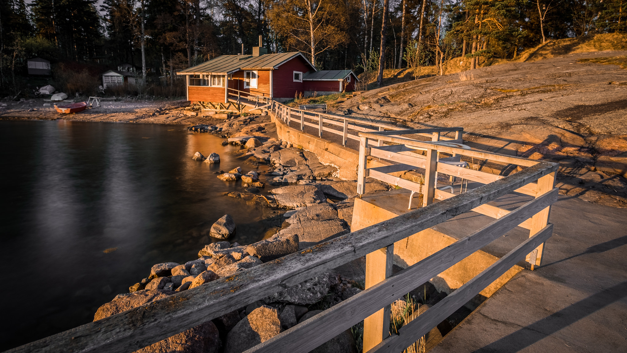 Helsinki Forest