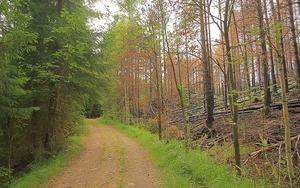 Thumbnail for Take a Hike at Helsinki’s National Park