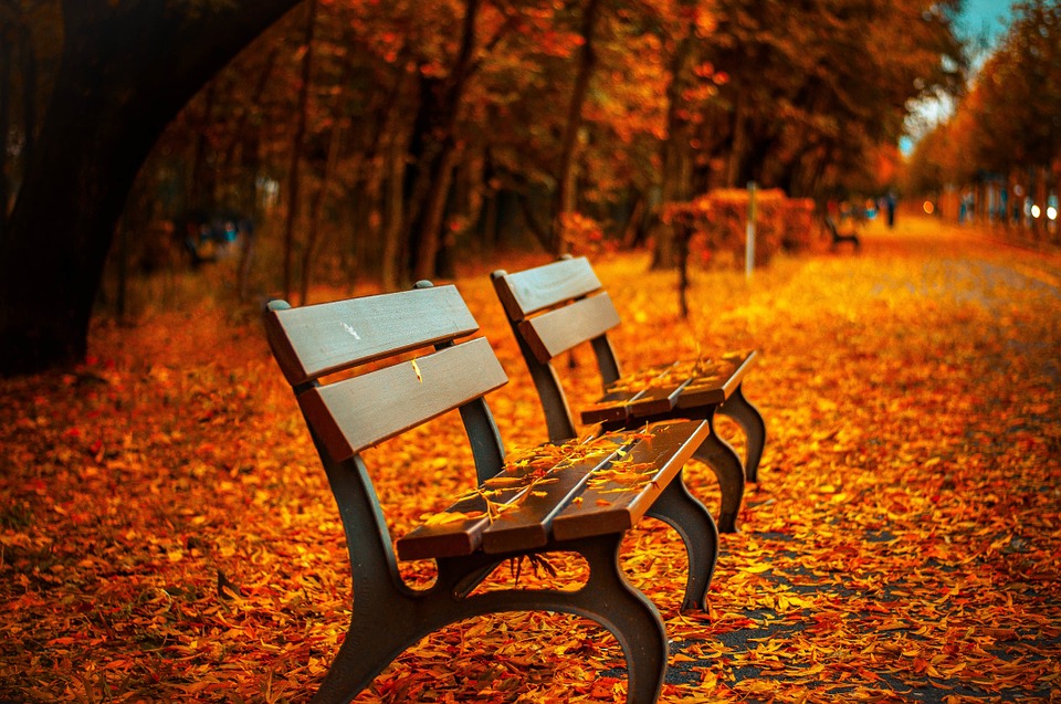 Park