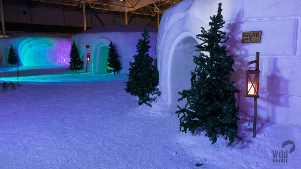 WinterWorld