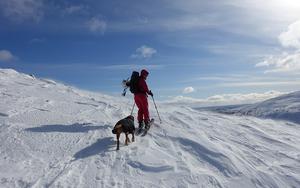 Thumbnail for Explore the Picturesque Finnish Lapland from Helsinki