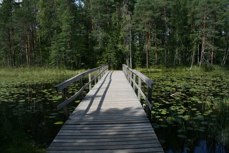 Nuuksio National Park