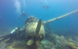 Thumbnail for Scuba Diving in Helsinki - A Lifetime Experience 