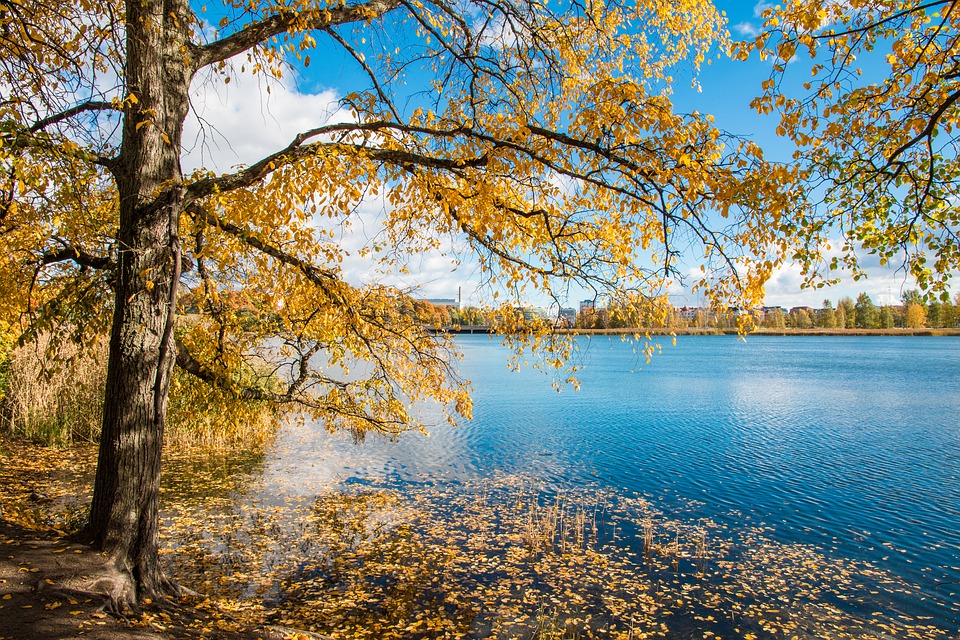 Helsinki in Autumn