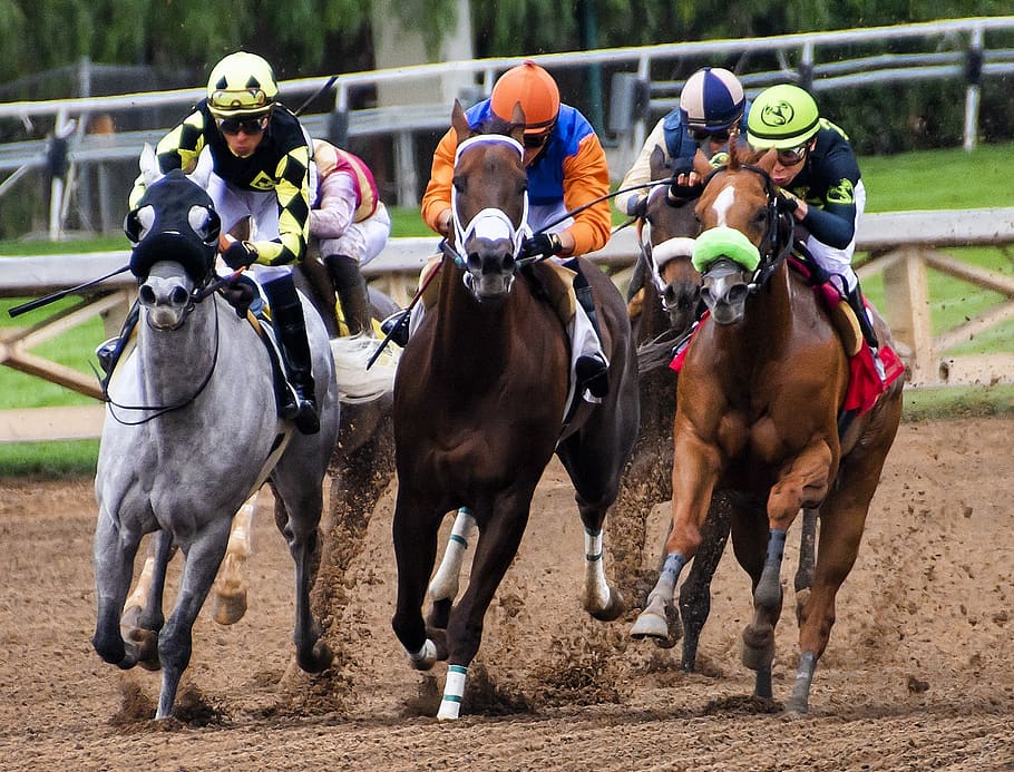 Horse racing