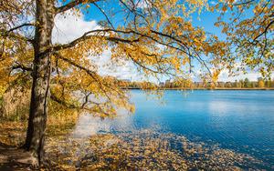 Thumbnail for Enjoying Helsinki’s Natural Beauty in September