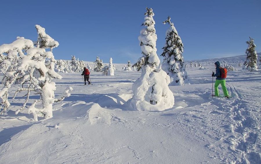 Skiing in Finland