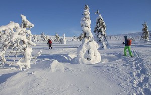 Thumbnail for Tips to Stay Healthy in Helsinki