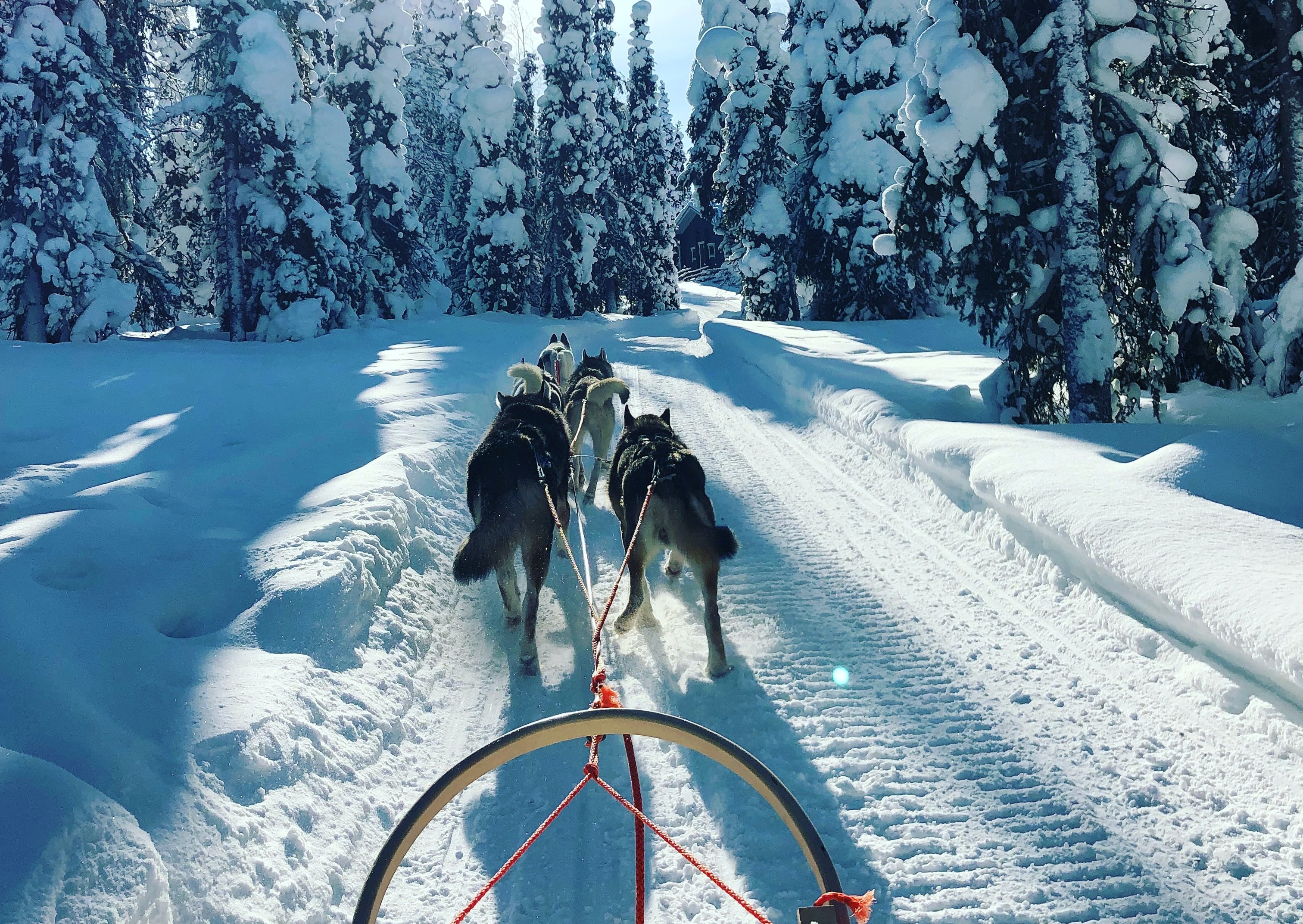 Husky ride