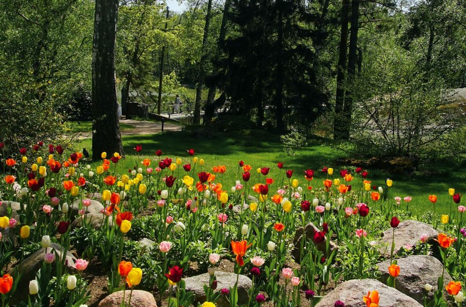Garden in Helsinki